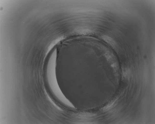 X0000062850630200601272042