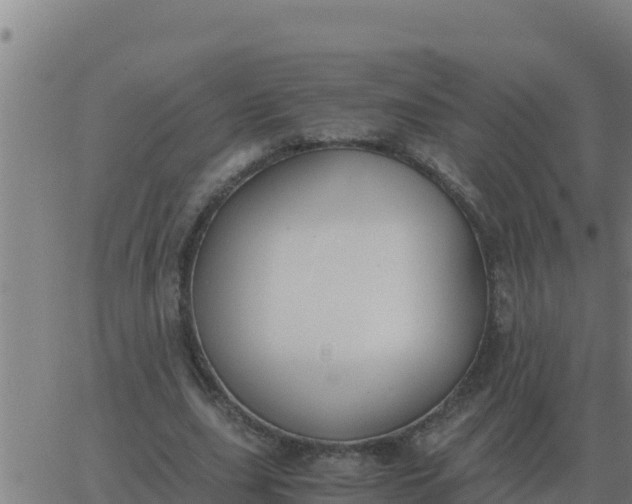 X0000062850631200601272042