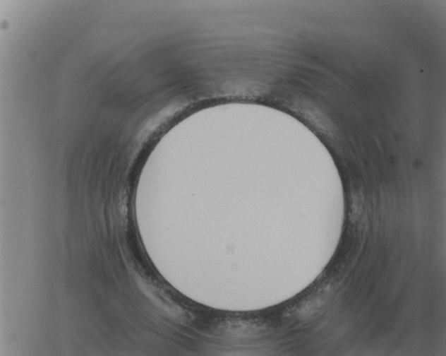 X0000062850632200601272042