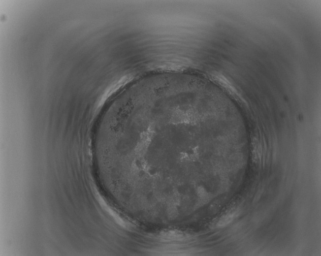 X0000062850634200601272042