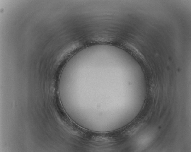 X0000062850635200601272042