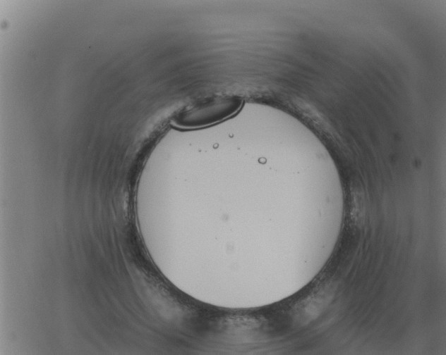 X0000062850636200601272042