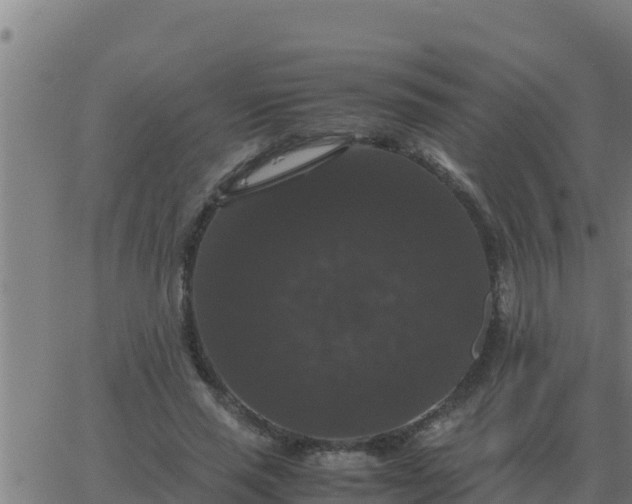 X0000062850637200601272042