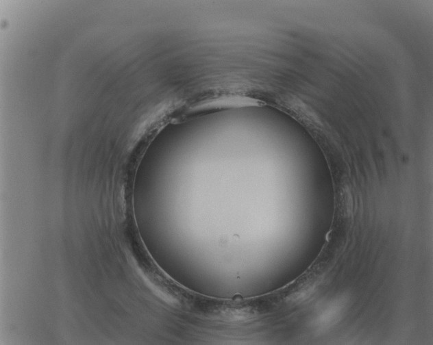 X0000062850638200601272042