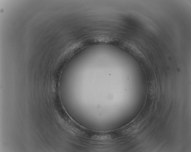 X0000062850639200601272042