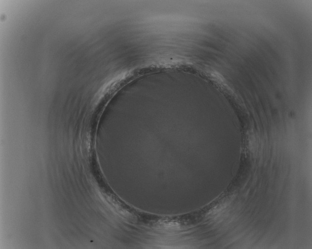 X0000062850640200601272042