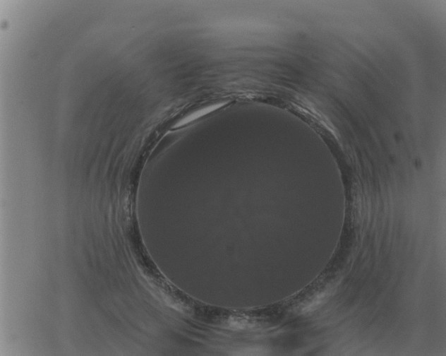 X0000062850641200601272042