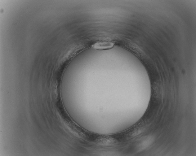 X0000062850642200601272042