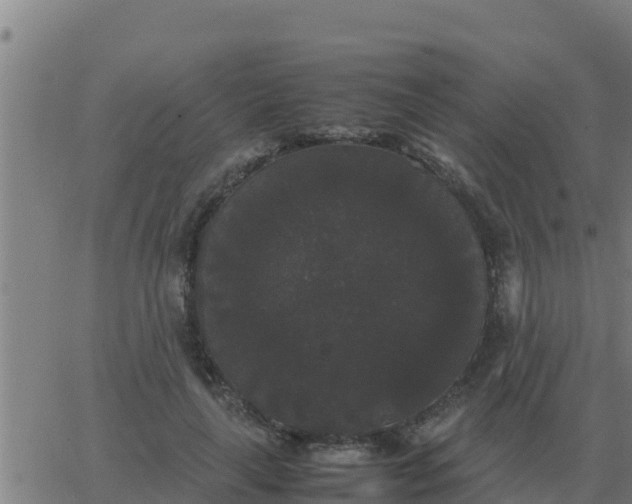 X0000062850643200601272042