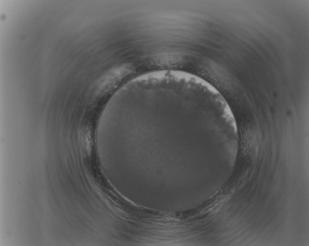 X0000062850644200601272042