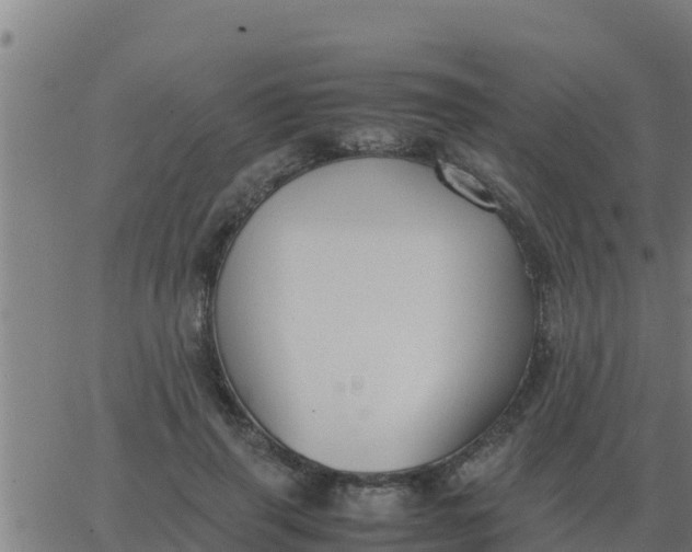 X0000062850645200601272042