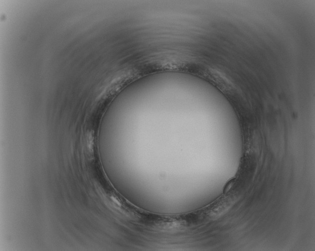 X0000062850646200601272042