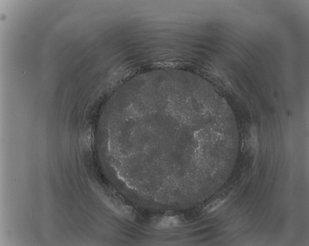 X0000062850647200601272042