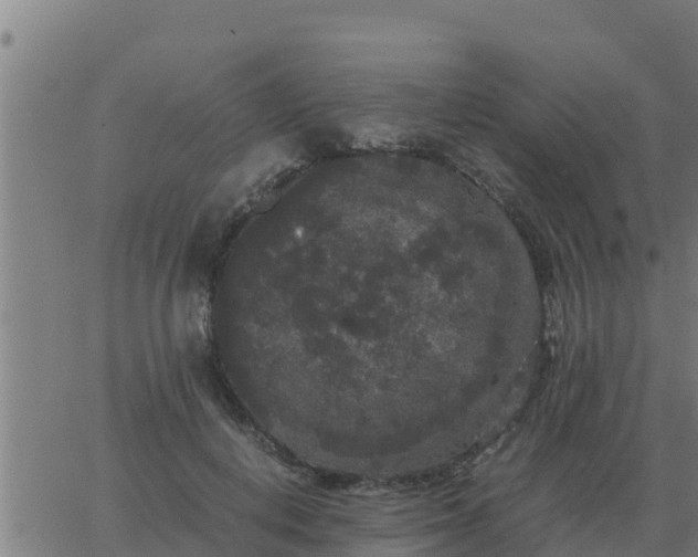 X0000062850648200601272042