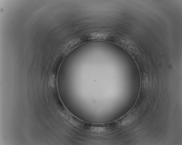 X0000062850649200601272042