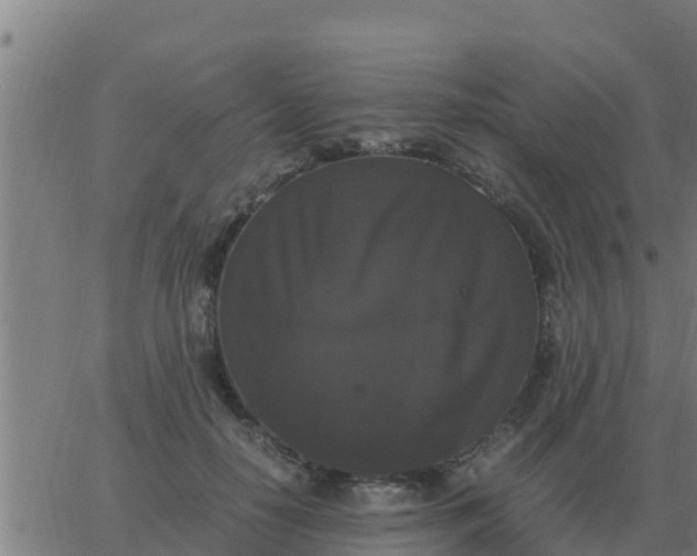 X0000062850650200601272042