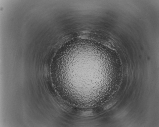 X0000062850651200601272042