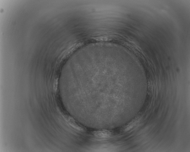 X0000062850652200601272042