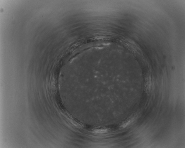 X0000062850653200601272042