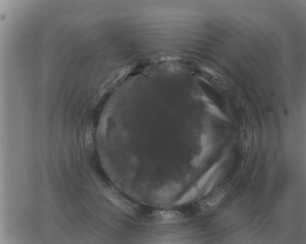 X0000062850654200601272042