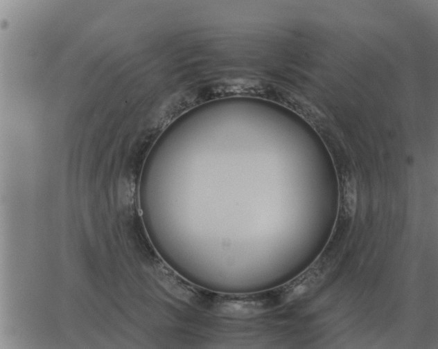 X0000062850657200601272042