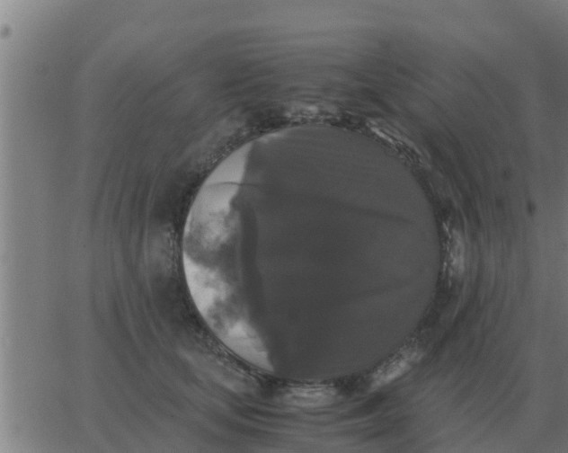 X0000062850659200601272043