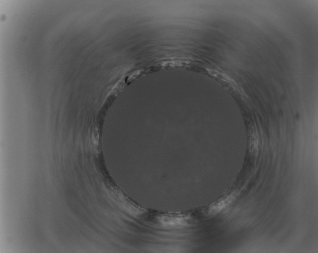 X0000062850661200601272043