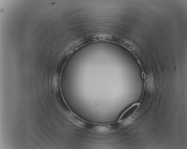 X0000062850662200601272043