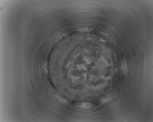 X0000062850663200601272043