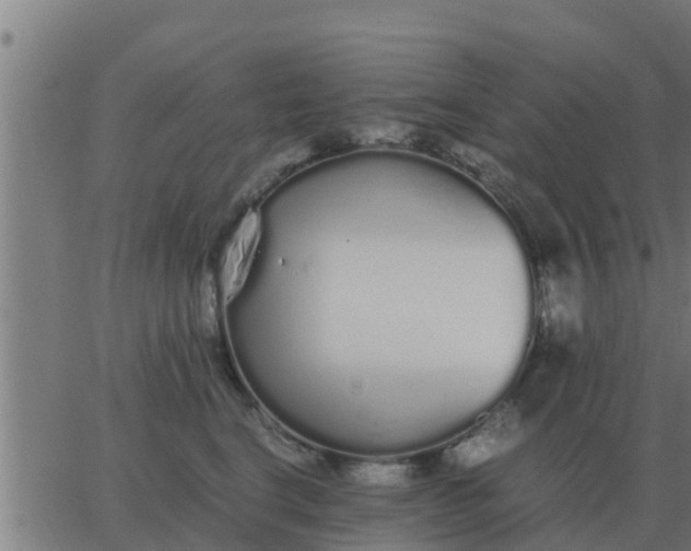 X0000062850664200601272043