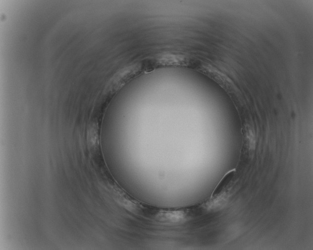 X0000062850665200601272043