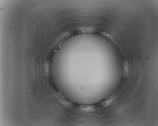 X0000062850667200601272043