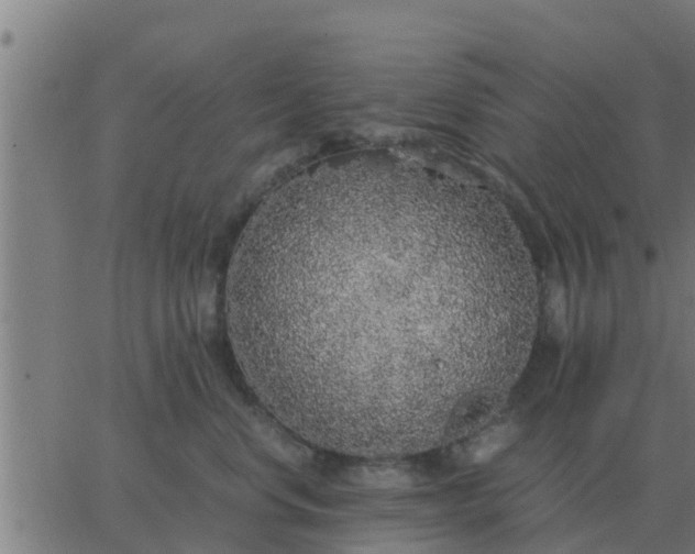 X0000062850668200601272043