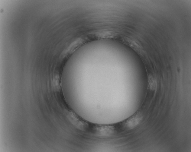 X0000062850670200601272043