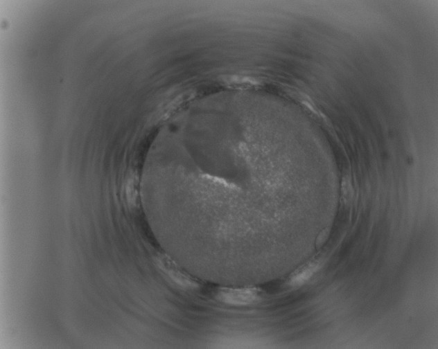 X0000062850671200601272043