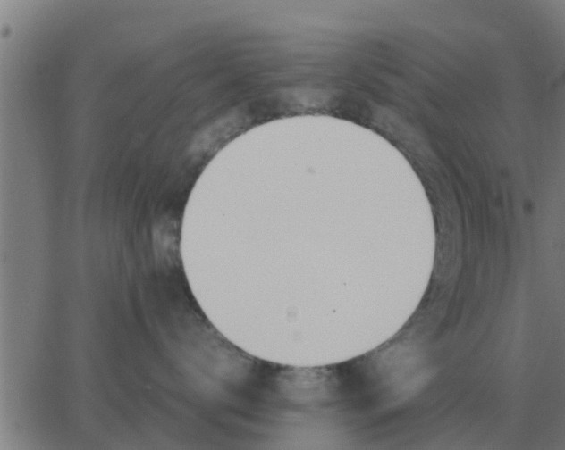 X0000062850672200601272043