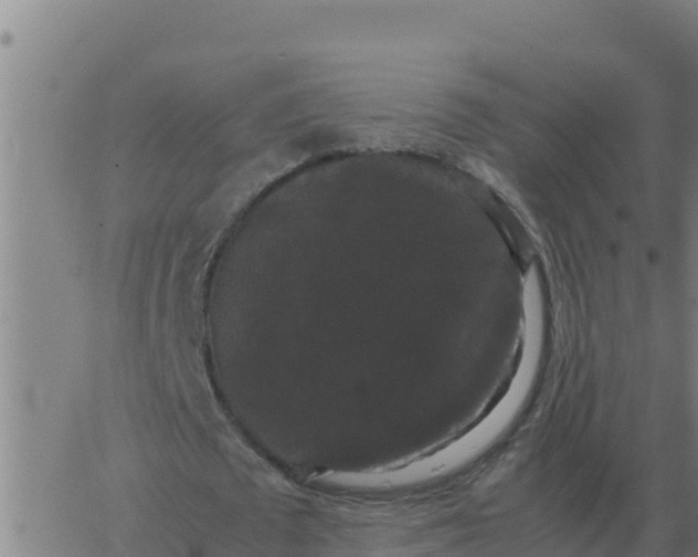 X0000062850673200601272042