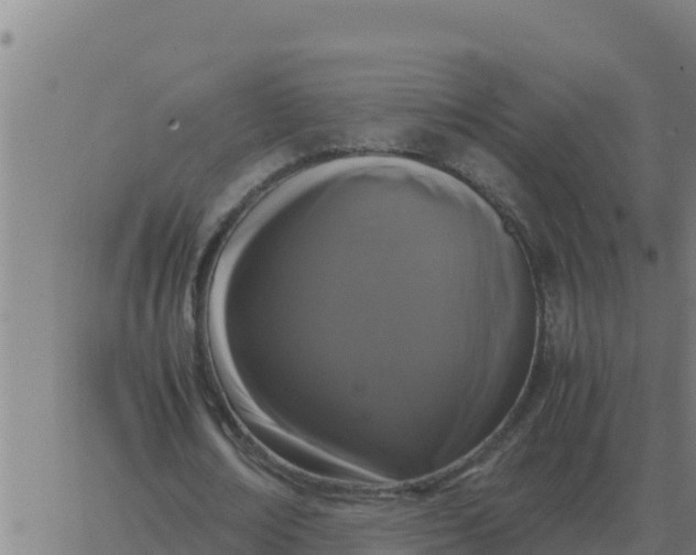 X0000062850674200601272042