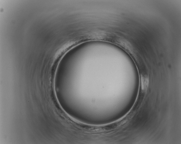 X0000062850675200601272042