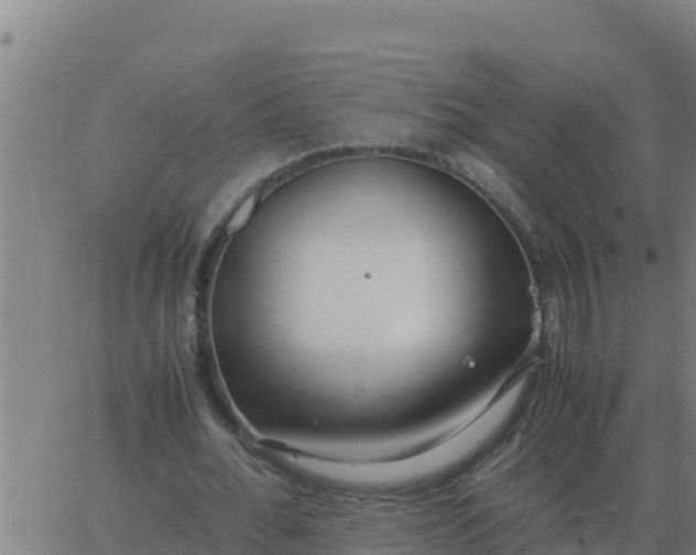 X0000062850676200601272042