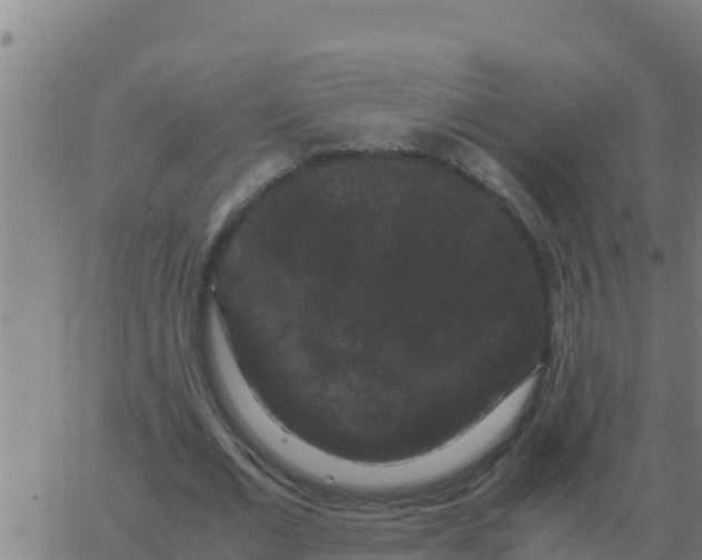 X0000062850677200601272042