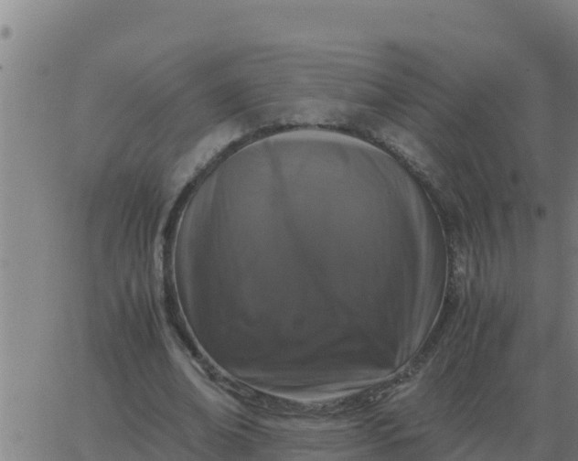 X0000062850678200601272042