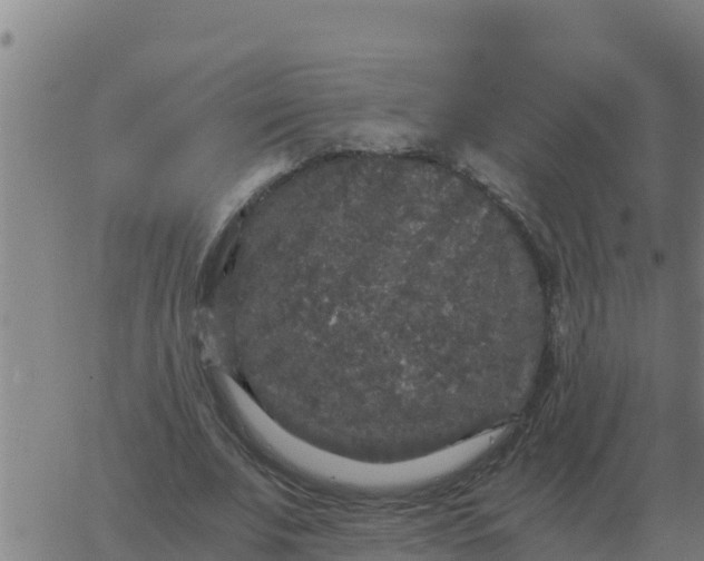 X0000062850679200601272042