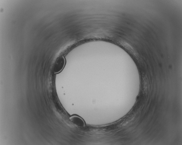 X0000062850680200601272042