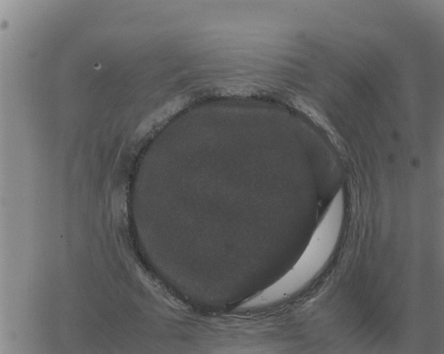 X0000062850681200601272042