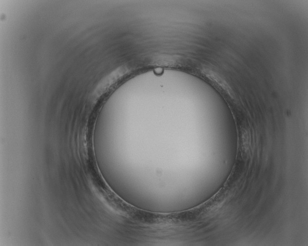 X0000062850682200601272042