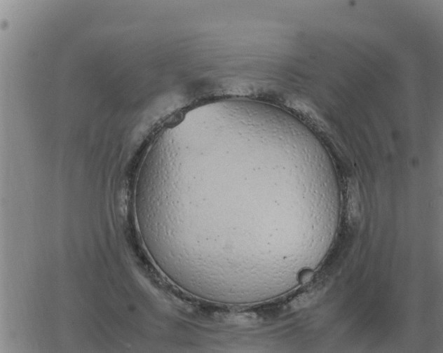 X0000062850683200601272042