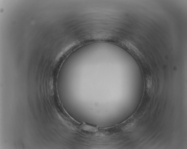 X0000062850684200601272042