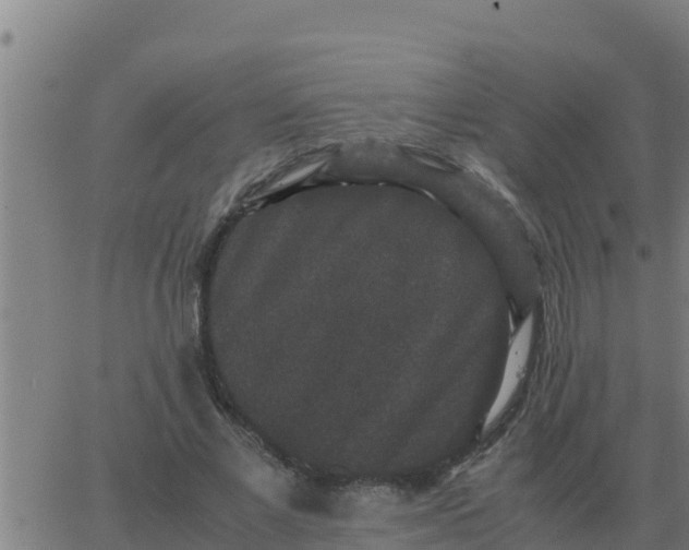 X0000062850685200601272042