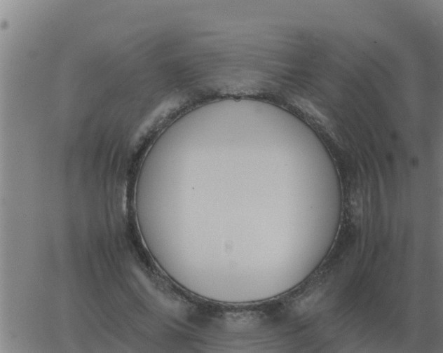 X0000062850686200601272042